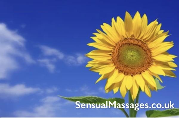 The Method To Give A Sensual Therapeutic Massage That Makes Your Companion Really Feel Nice